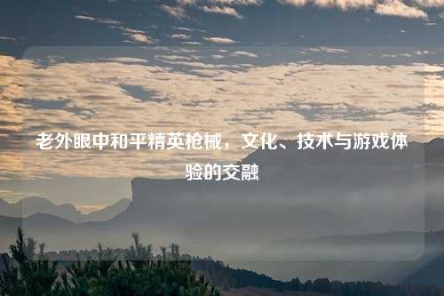 老外眼中和平精英枪械，文化、技术与游戏体验的交融