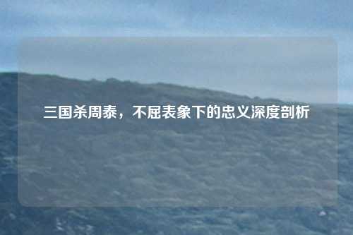三国杀周泰，不屈表象下的忠义深度剖析