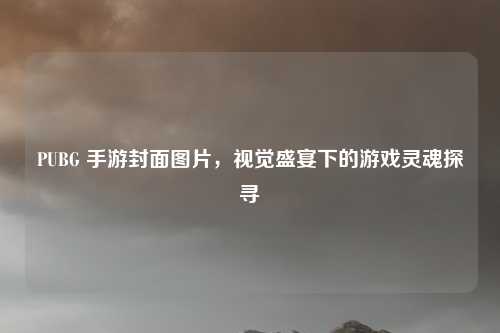 PUBG 手游封面图片，视觉盛宴下的游戏灵魂探寻
