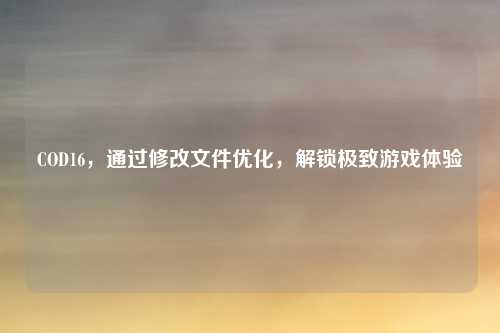 COD16，通过修改文件优化，解锁极致游戏体验