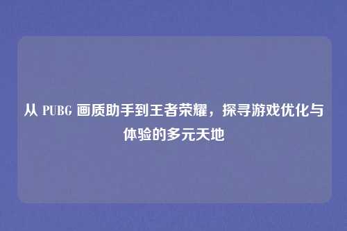 从 PUBG 画质助手到王者荣耀，探寻游戏优化与体验的多元天地