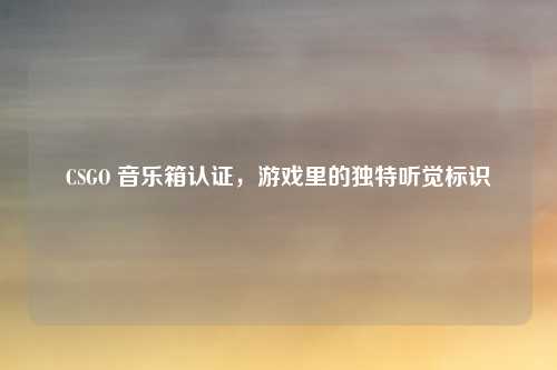 CSGO 音乐箱认证，游戏里的独特听觉标识