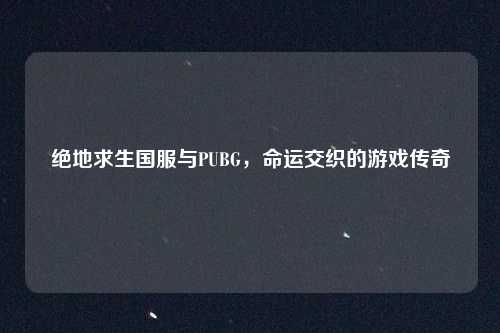 绝地求生国服与PUBG，命运交织的游戏传奇