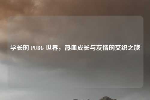 学长的 PUBG 世界，热血成长与友情的交织之旅