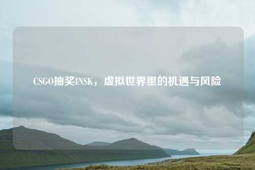 CSGO抽奖INSK,虚拟世界里的机遇与风险