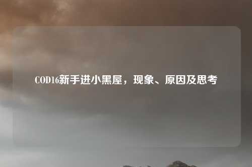 COD16新手进小黑屋,现象、原因及思考