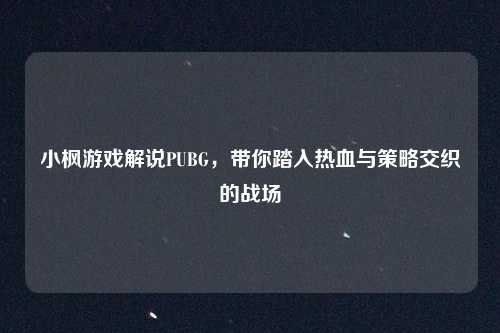 小枫游戏解说PUBG，带你踏入热血与策略交织的战场