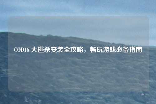 COD16 大逃杀安装全攻略,畅玩游戏必备指南