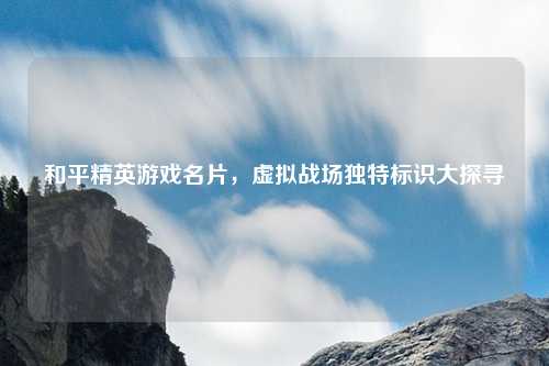 和平精英游戏名片,虚拟战场独特标识大探寻