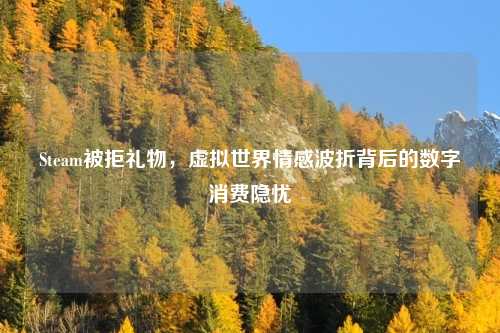 Steam被拒礼物,虚拟世界情感波折背后的数字消费隐忧