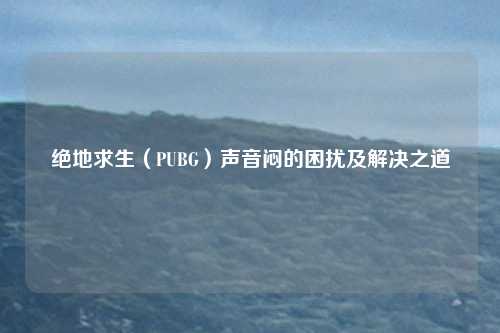 绝地求生(PUBG)声音闷的困扰及解决之道