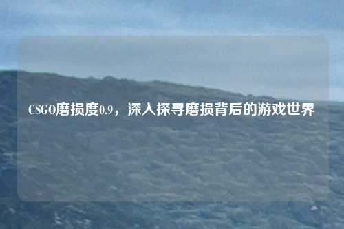 CSGO磨损度0.9,深入探寻磨损背后的游戏世界