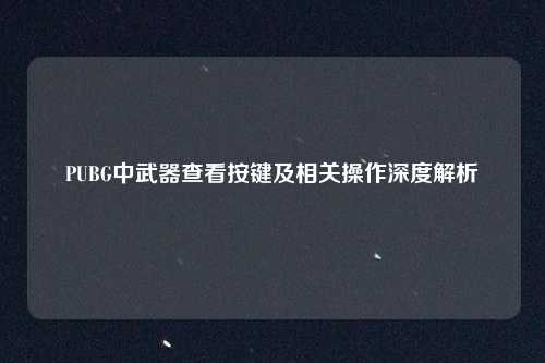 PUBG中武器查看按键及相关操作深度解析