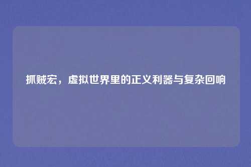 抓贼宏，虚拟世界里的正义利器与复杂回响