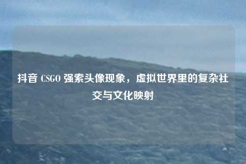 抖音 CSGO 强索头像现象,虚拟世界里的复杂社交与文化映射