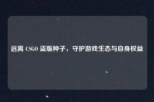 远离 CSGO 盗版种子,守护游戏生态与自身权益
