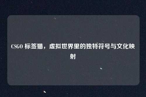 CSGO 标签猫,虚拟世界里的独特符号与文化映射