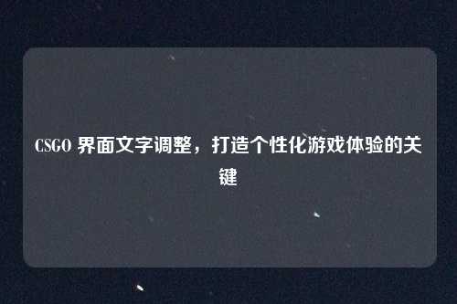 CSGO 界面文字调整，打造个性化游戏体验的关键