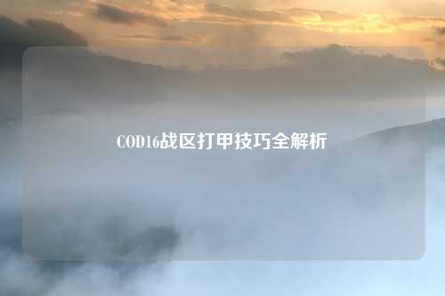 COD16战区打甲技巧全解析