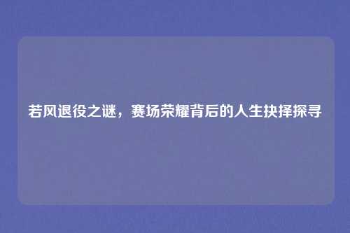 若风退役之谜，赛场荣耀背后的人生抉择探寻