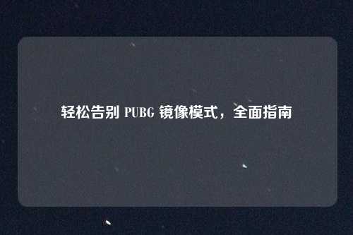 轻松告别 PUBG 镜像模式,全面指南