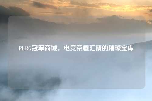PUBG冠军商城,电竞荣耀汇聚的璀璨宝库