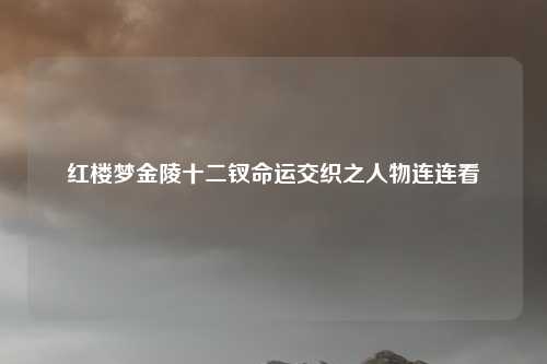 红楼梦金陵十二钗命运交织之人物连连看