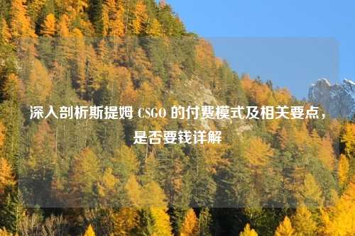 深入剖析斯提姆 CSGO 的付费模式及相关要点，是否要钱详解