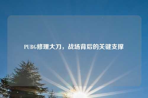 PUBG修理大刀，战场背后的关键支撑