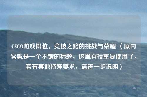 CSGO游戏排位，竞技之路的挑战与荣耀 （原内容就是一个不错的标题，这里直接重复使用了，若有其他特殊要求，请进一步说明）