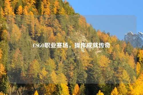 CSGO职业赛场，操作成就传奇