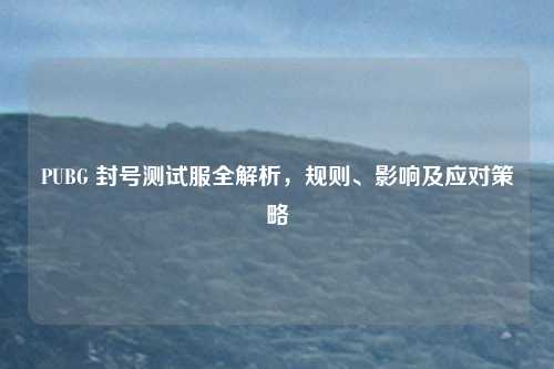 PUBG 封号测试服全解析，规则、影响及应对策略