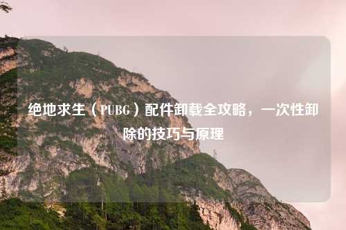 绝地求生（PUBG）配件卸载全攻略，一次性卸除的技巧与原理