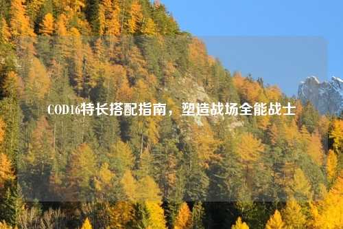 COD16特长搭配指南，塑造战场全能战士