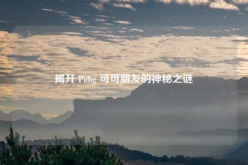 揭开 Pubg 可可朋友的神秘之谜