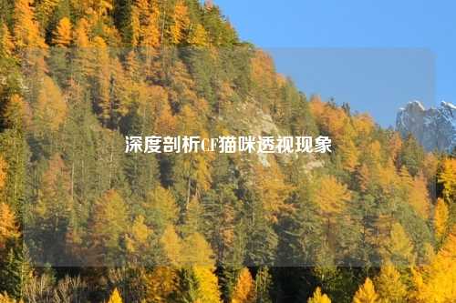 深度剖析CF猫咪透视现象