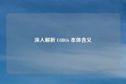 深入解析 COD16 本体含义