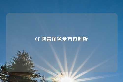 CF 防雷角色全方位剖析