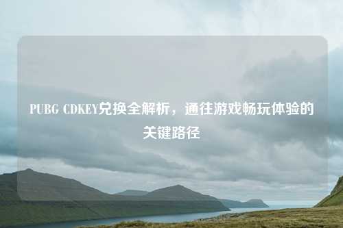 PUBG CDKEY兑换全解析，通往游戏畅玩体验的关键路径