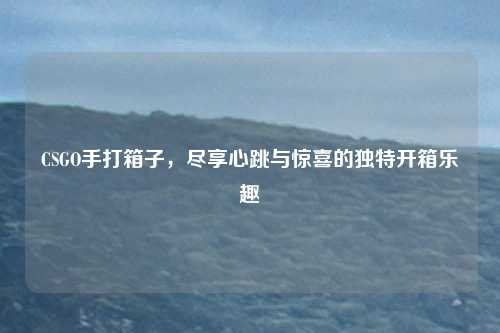 CSGO手打箱子,尽享心跳与惊喜的独特开箱乐趣