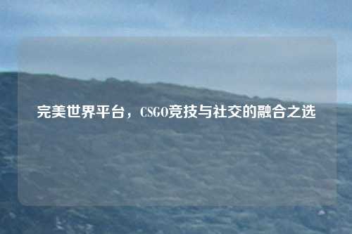 完美世界平台,CSGO竞技与社交的融合之选
