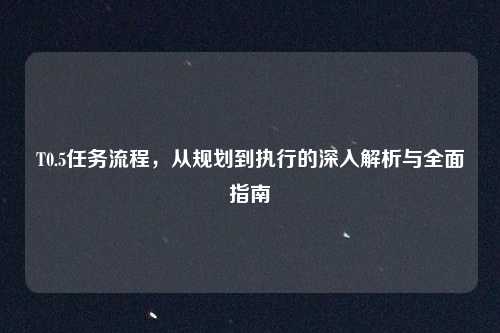 T0.5任务流程,从规划到执行的深入解析与全面指南