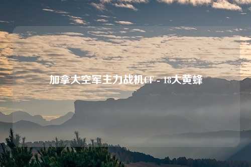 加拿大空军主力战机CF - 18大黄蜂